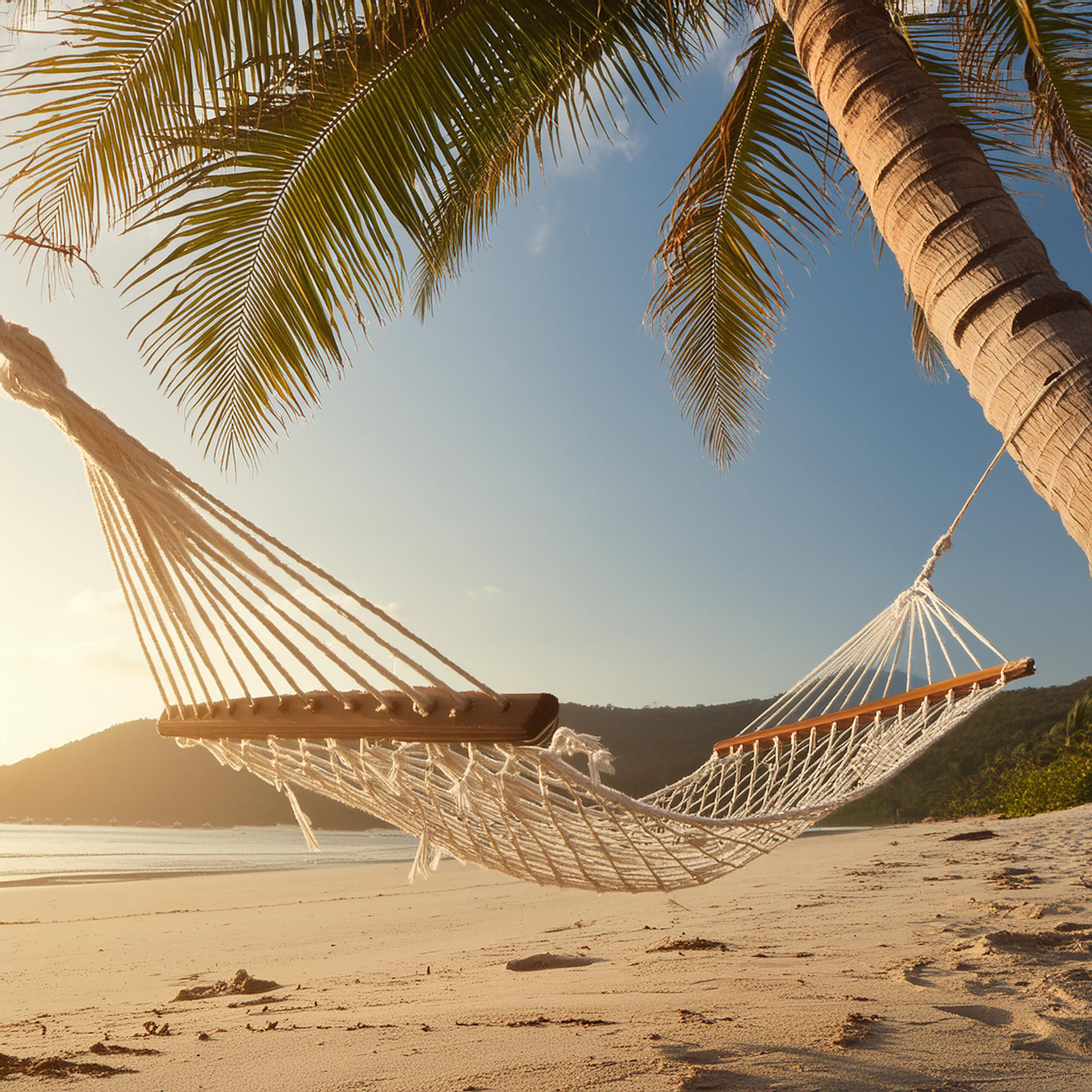 LLEGÓ ENERO: ¿Qué eligen nuestros clientes en verano?