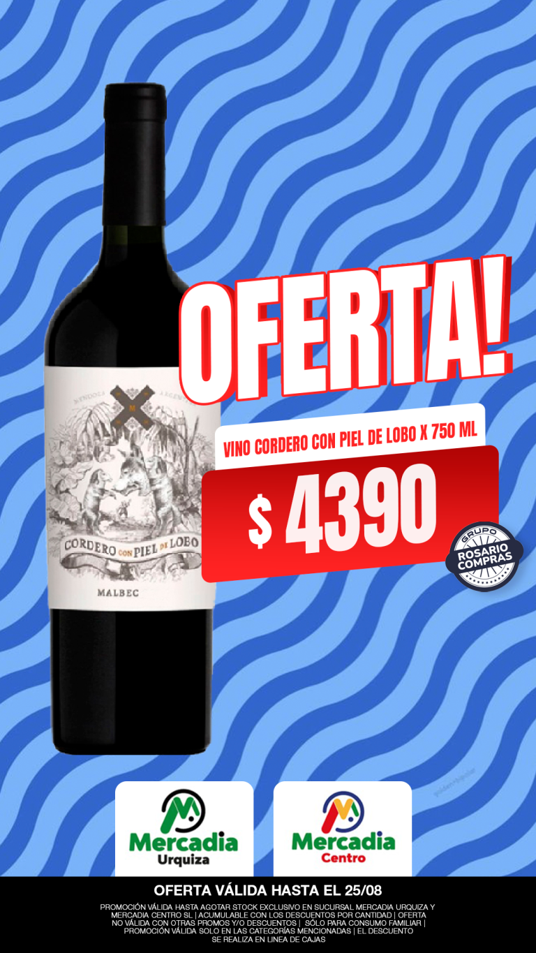 oferta folder 4